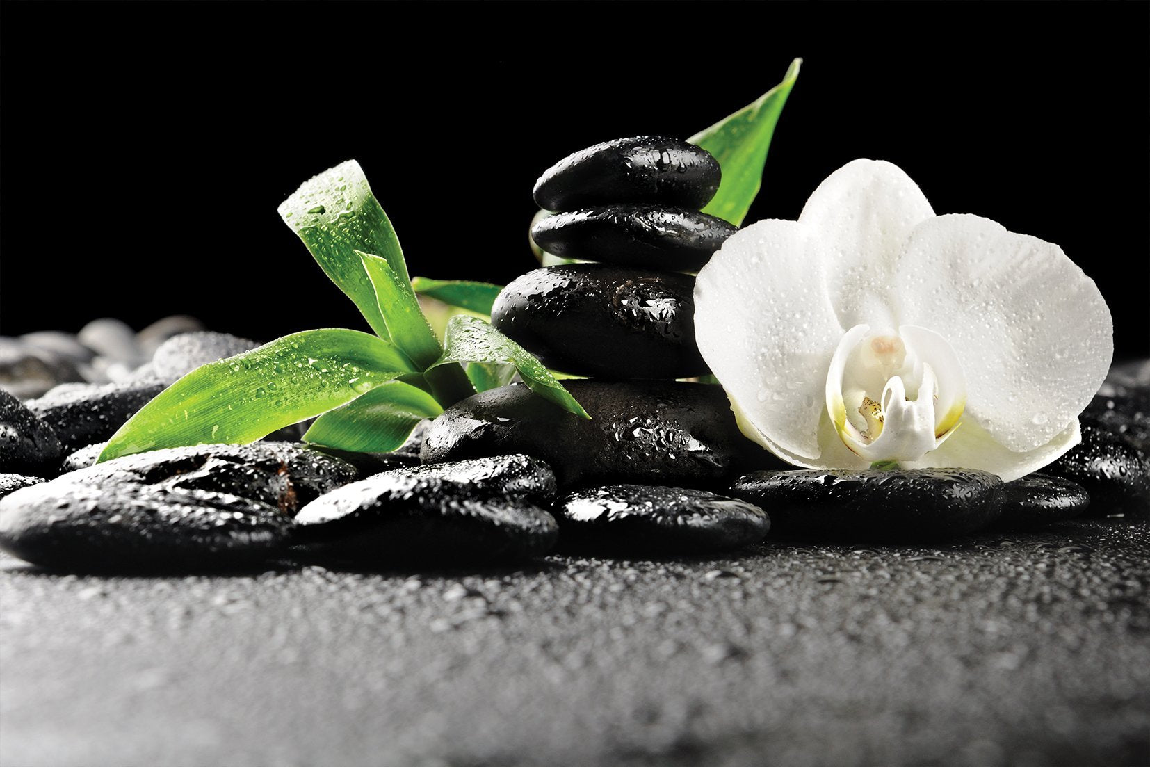 Kunst wand bilder Zen - AP026 - life-decor.de