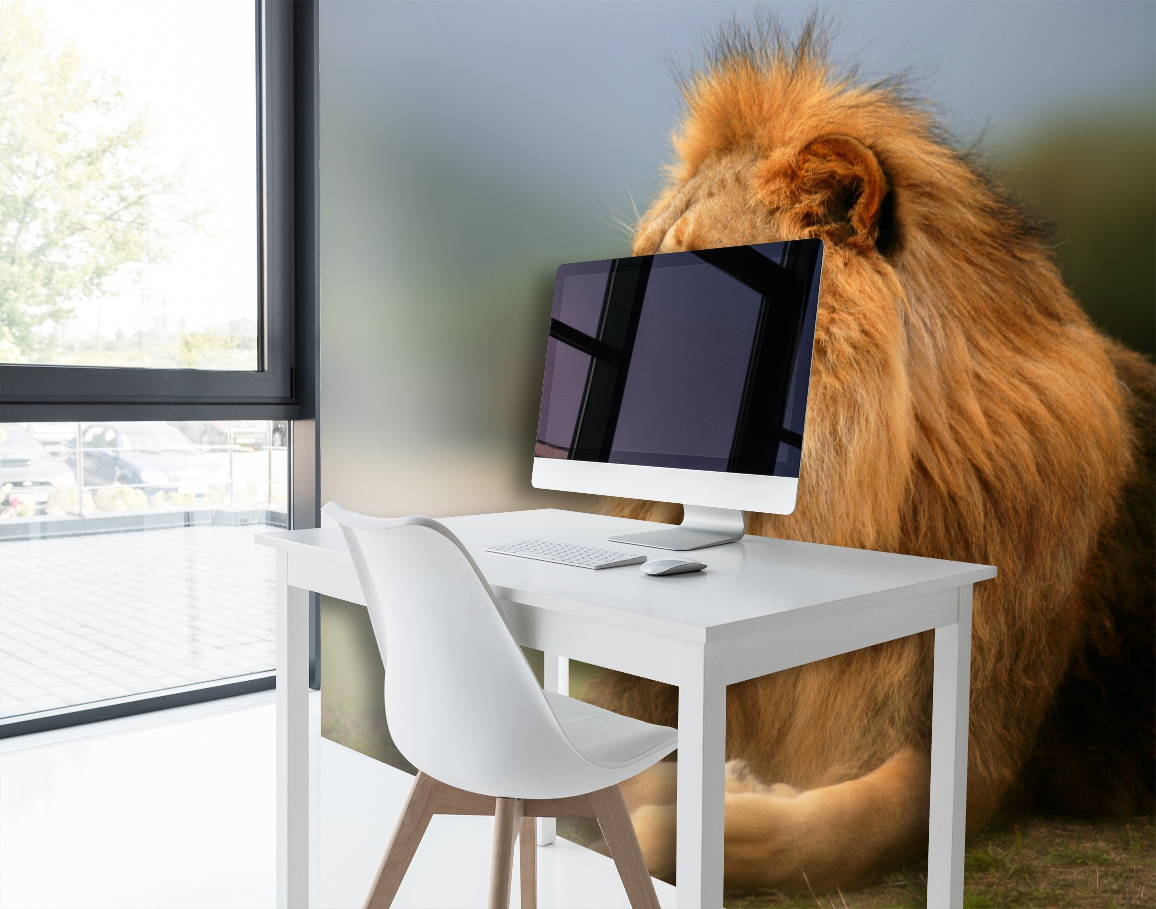 PVC Fototapete Beautiful Lion - ECO Wandbild Selbstklebende Tapete - 3D Vinyl Wandsticker XXL SW057