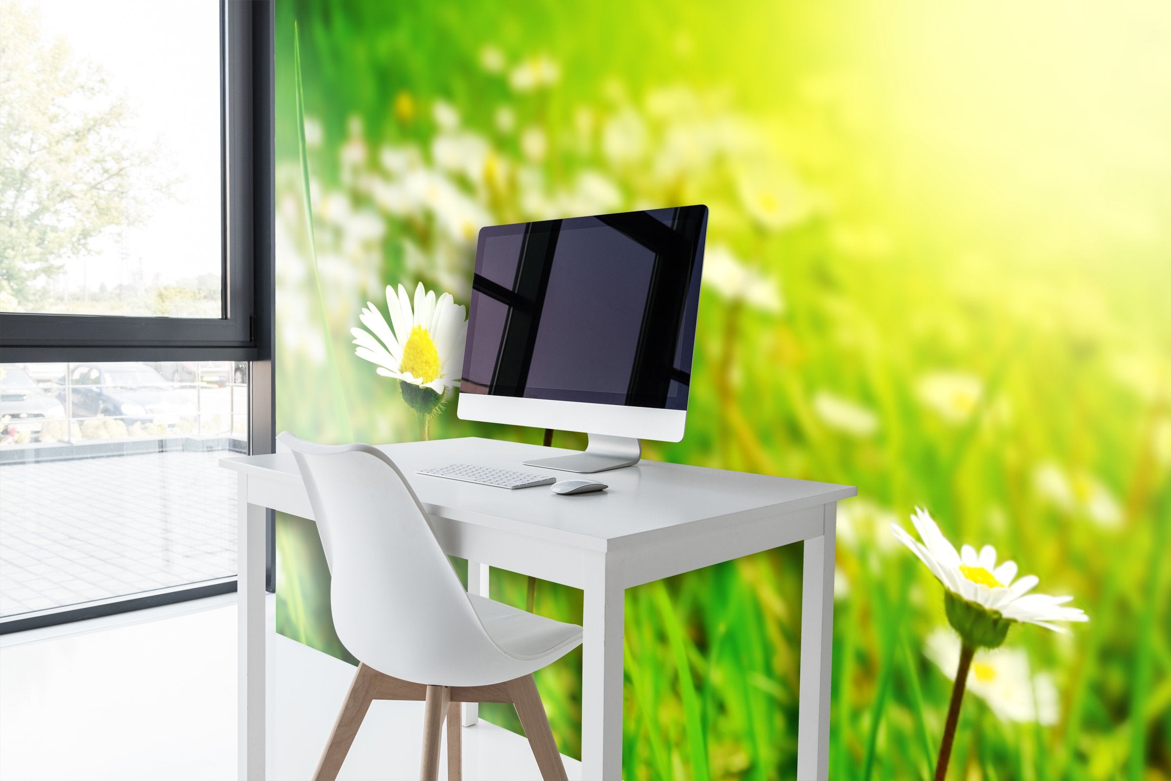 PVC Fototapete Tapeten White Flowers - ECO Wandbild Selbstklebende Tapete - 3D Vinyl Wandsticker XXL SW097