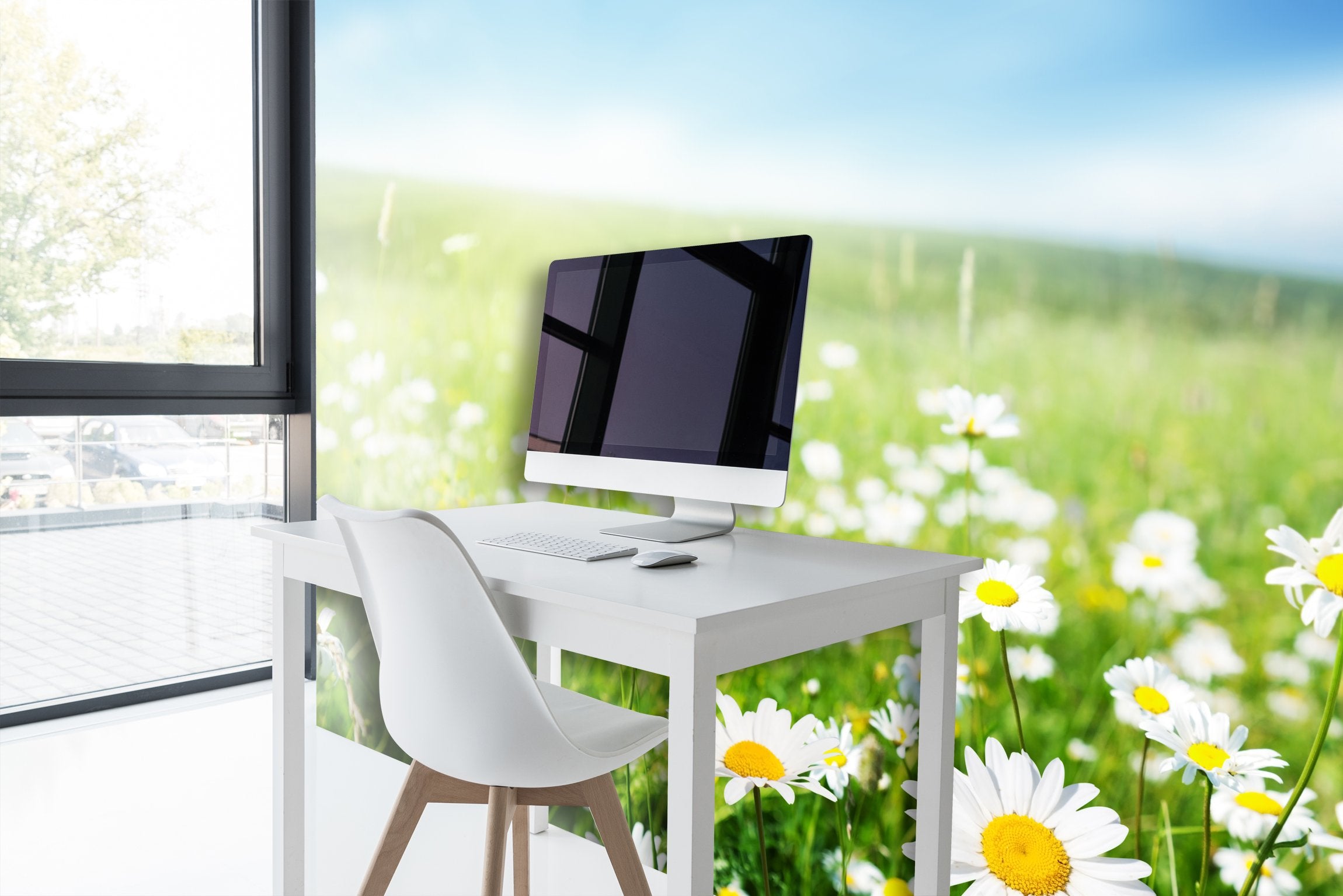 PVC Fototapete Daisy Flowers - ECO Wandbild Selbstklebende Tapete - 3D Vinyl Wandsticker XXL SW157