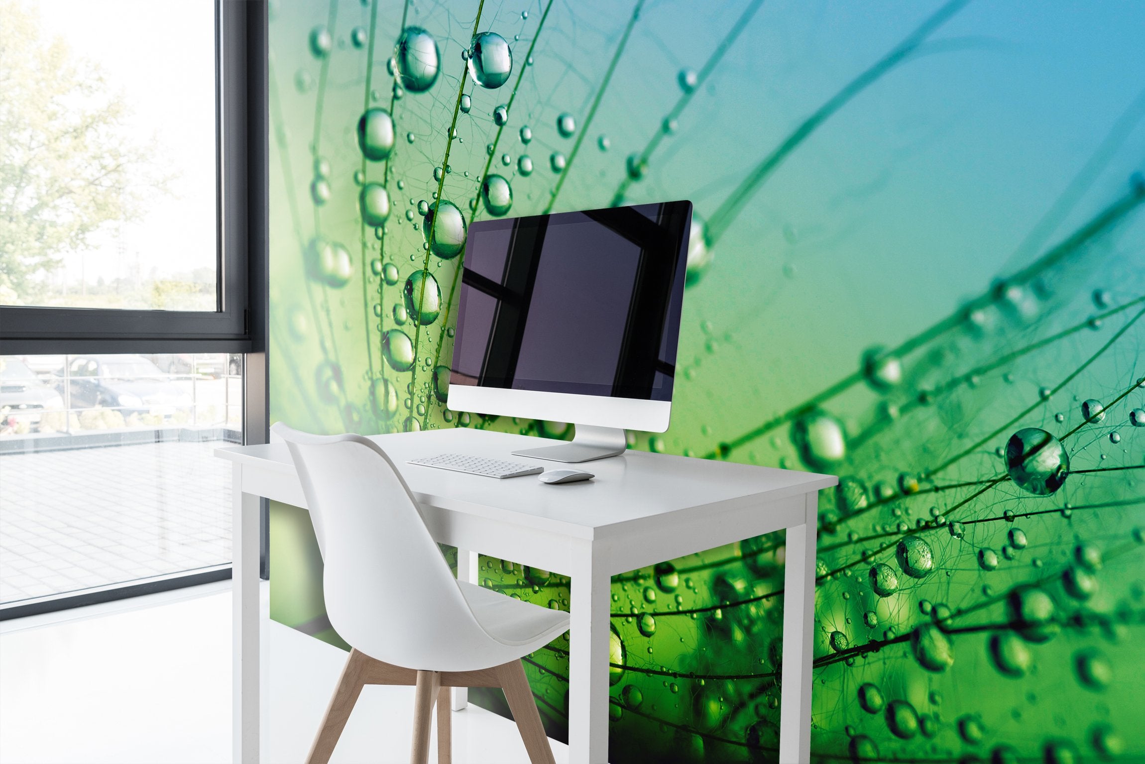 PVC Fototapete Seeds With Drops - ECO Wandbild Selbstklebende Tapete - 3D Vinyl Wandsticker XXL SW255