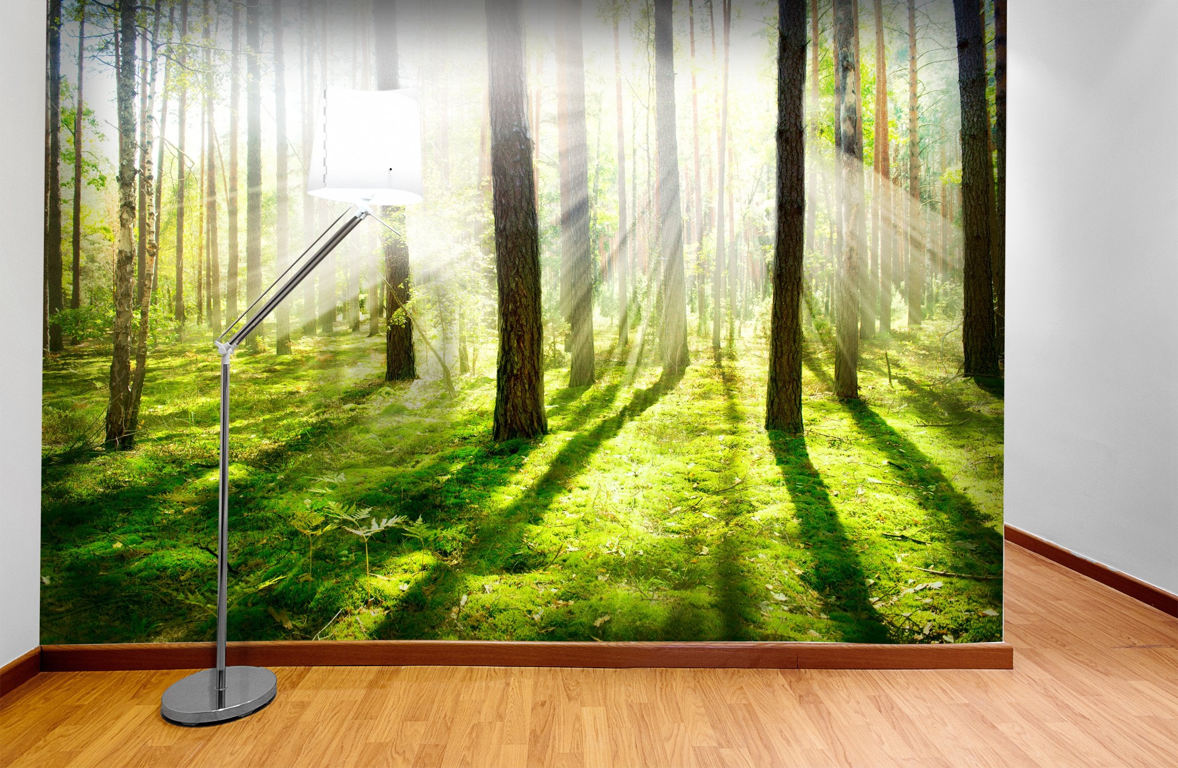 PVC Fototapete Misty and Foggy Forest - ECO Wandbild Selbstklebende Tapete - 3D Vinyl Wandsticker XXL SW087