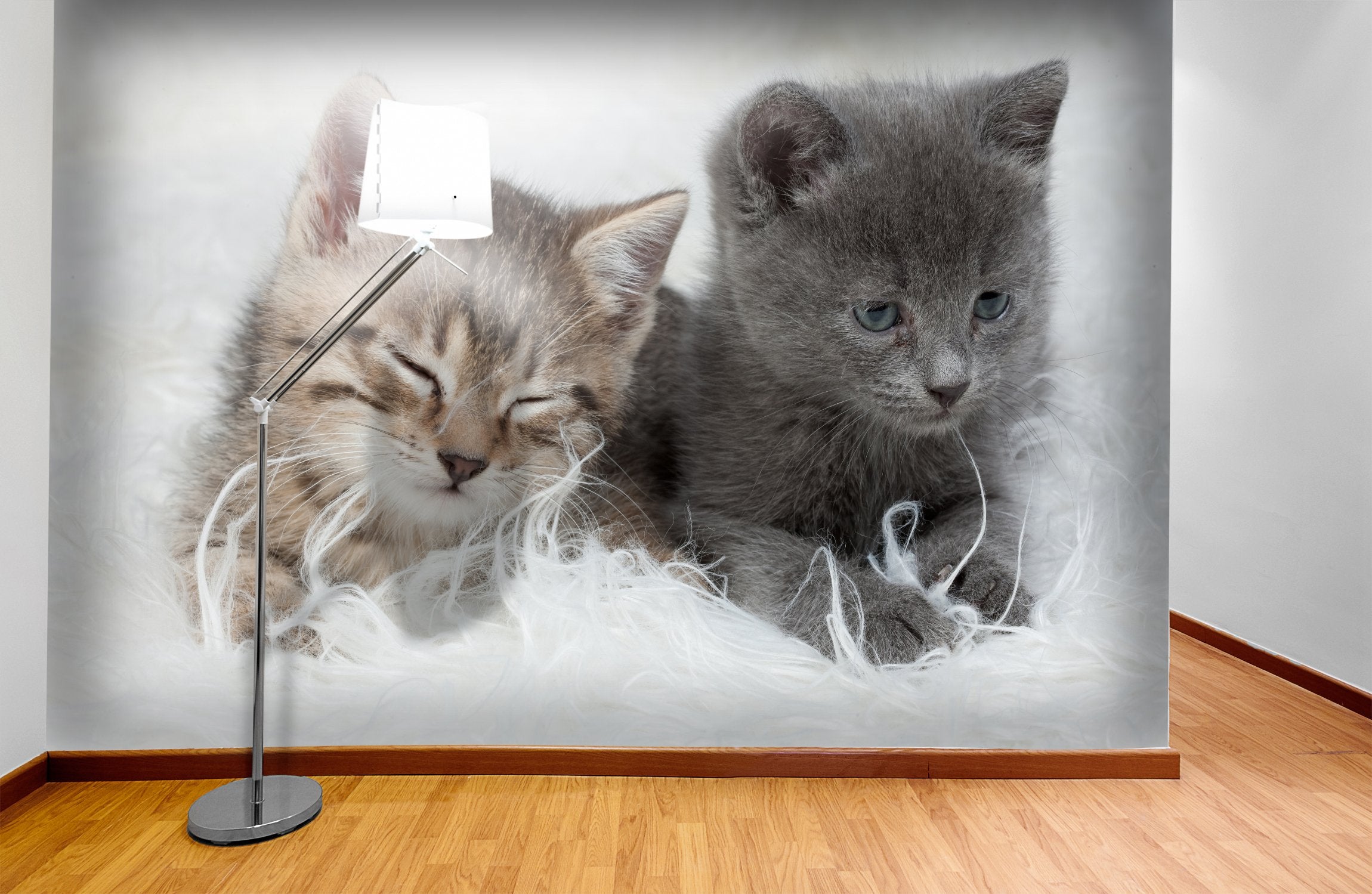 PVC Fototapete Little Kittens – ECO Wandbild Selbstklebende Tapete – 3D Vinyl Wandsticker XXL SW117 - life-decor.de