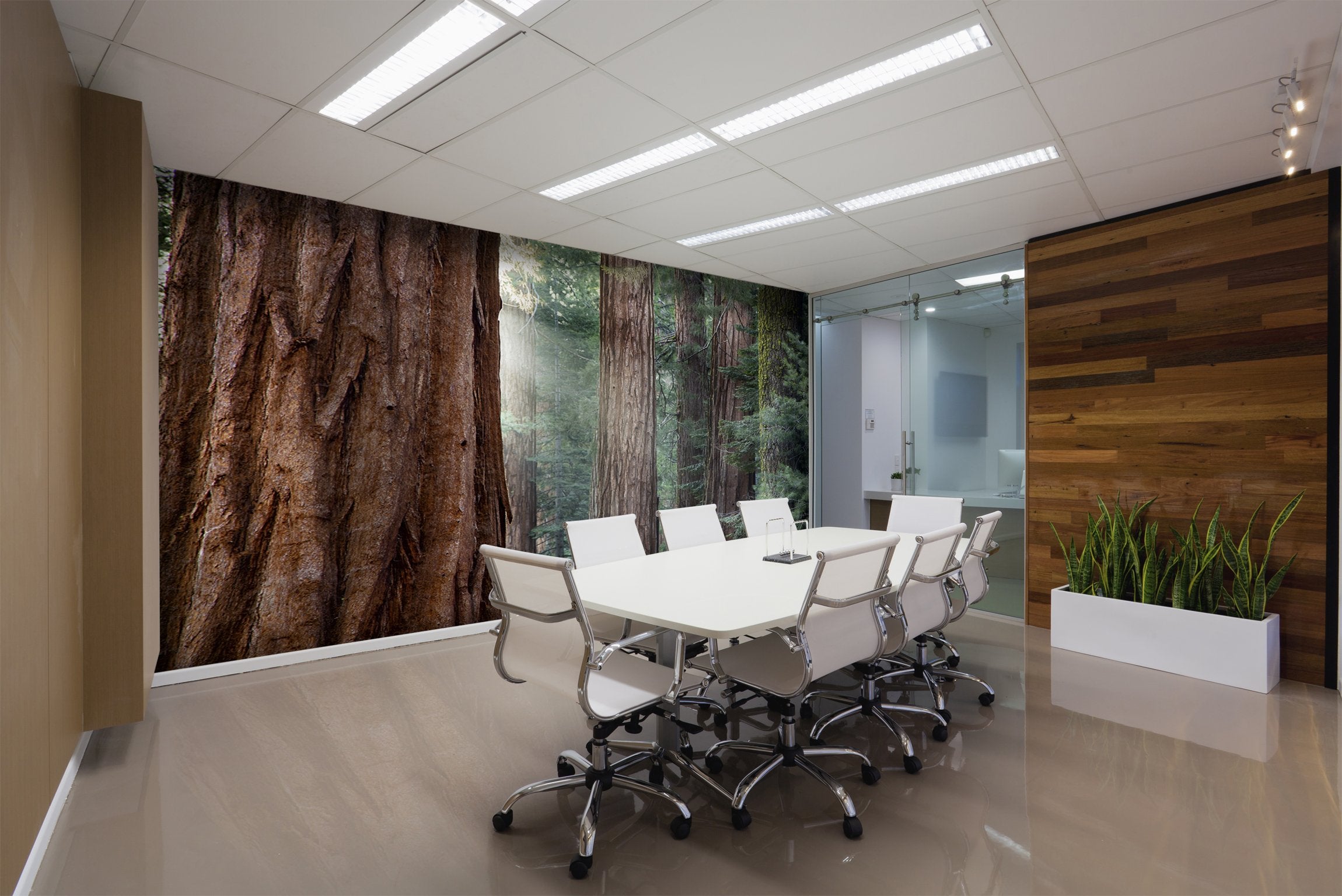 PVC Fototapete Morning light - ECO Wandbild Selbstklebende Tapete - 3D Vinyl Wandsticker XXL SW013