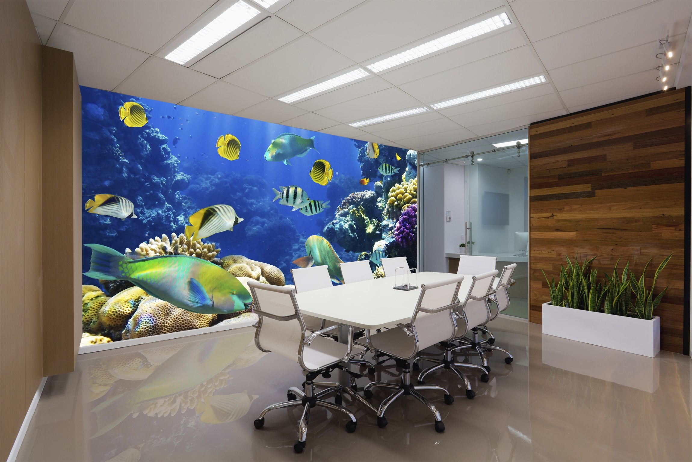 PVC Fototapete Coral Colony - ECO Wandbild Selbstklebende Tapete - 3D Vinyl Wandsticker XXL SW113