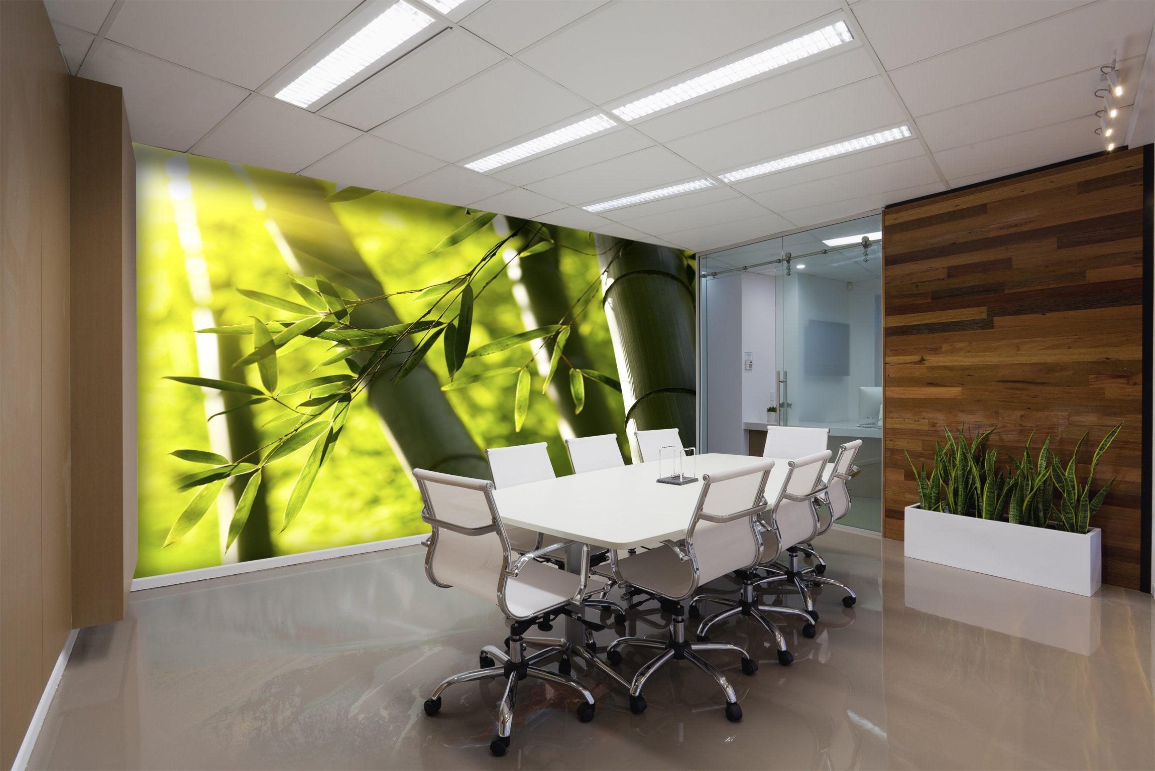 PVC Fototapete Bamboo Forest - ECO Wandbild Selbstklebende Tapete - 3D Vinyl Wandsticker XXL SW085