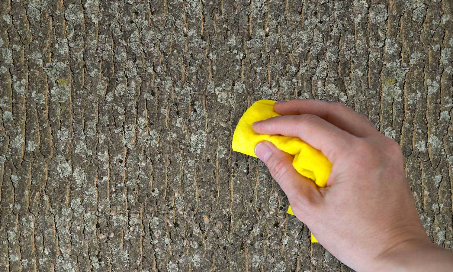 folien für möbel bekleben - Baumrinde PAT056 - life-decor.de