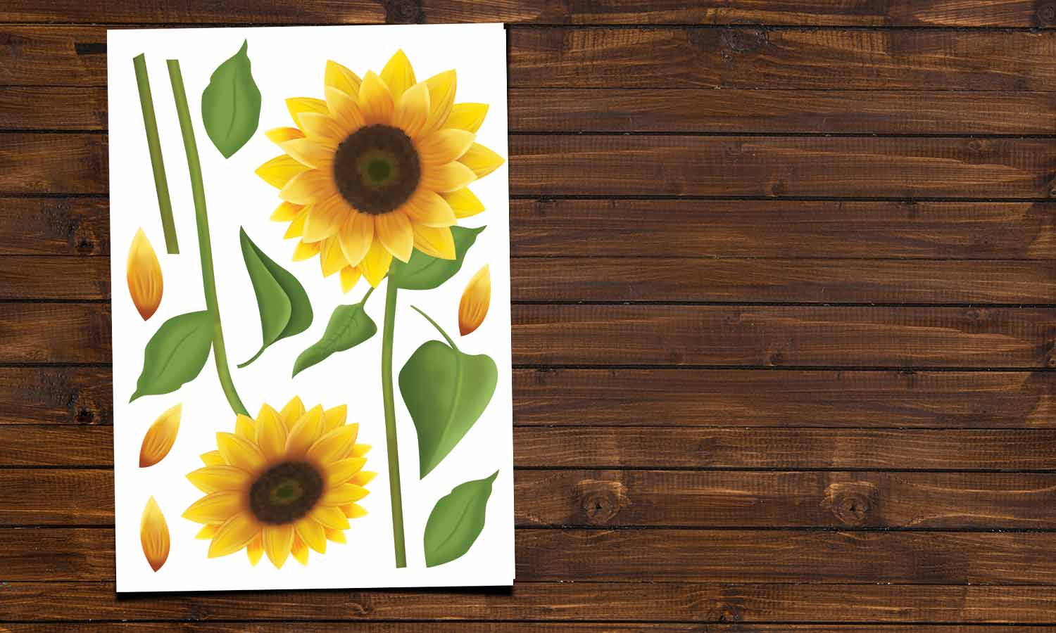 Wandaufkleber Sonneblume - VCS106 - life-decor.de