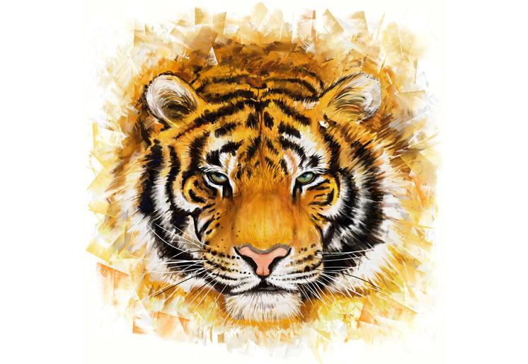 PVC Fototapete Wild Tiger - ECO Wandbild Selbstklebende Tapete - 3D Vinyl Wandsticker XXL SW182