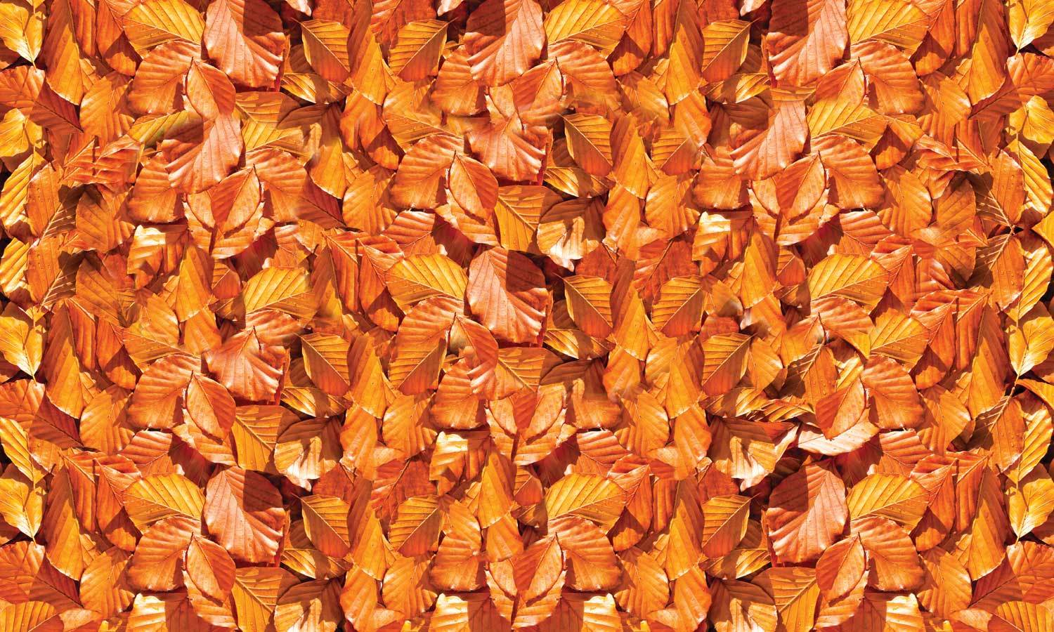 selbstklebende Folie für Möbel- Herbstblätter PAT049 -möbel selbstklebende folie