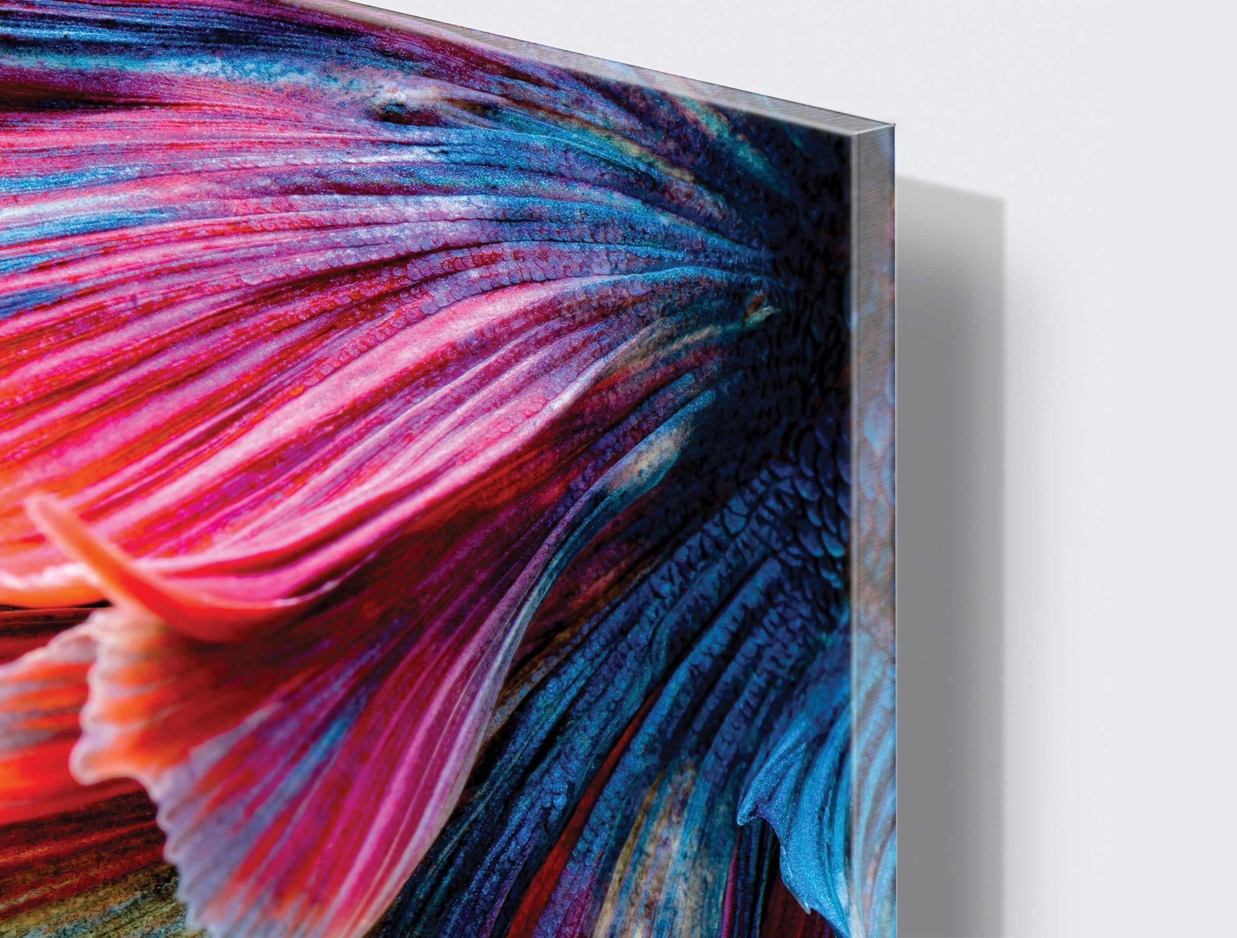 Kunst wand bilder Blume - AP012 - life-decor.de