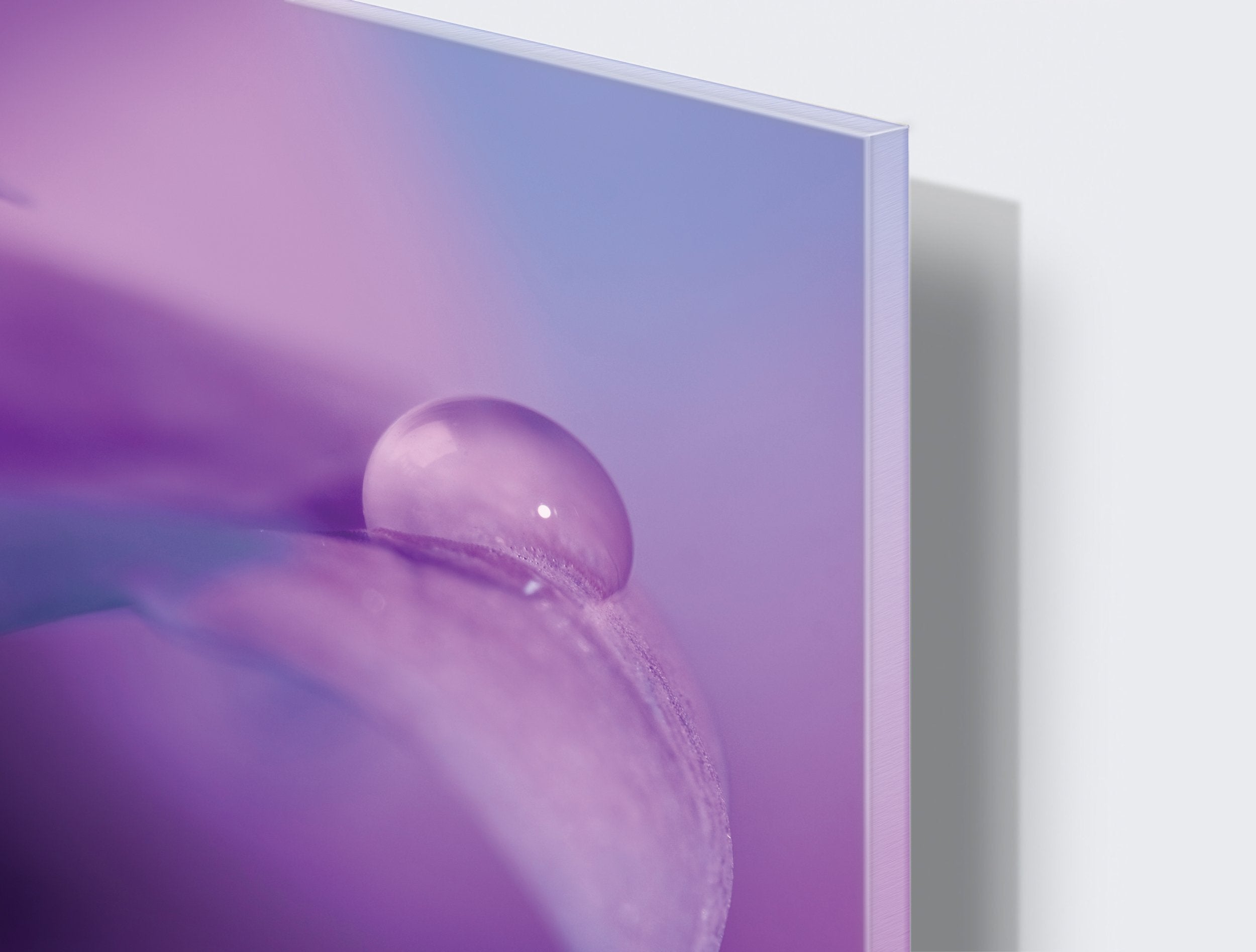 Kunst wand bilder Blütenblatt - AP043 - life-decor.de