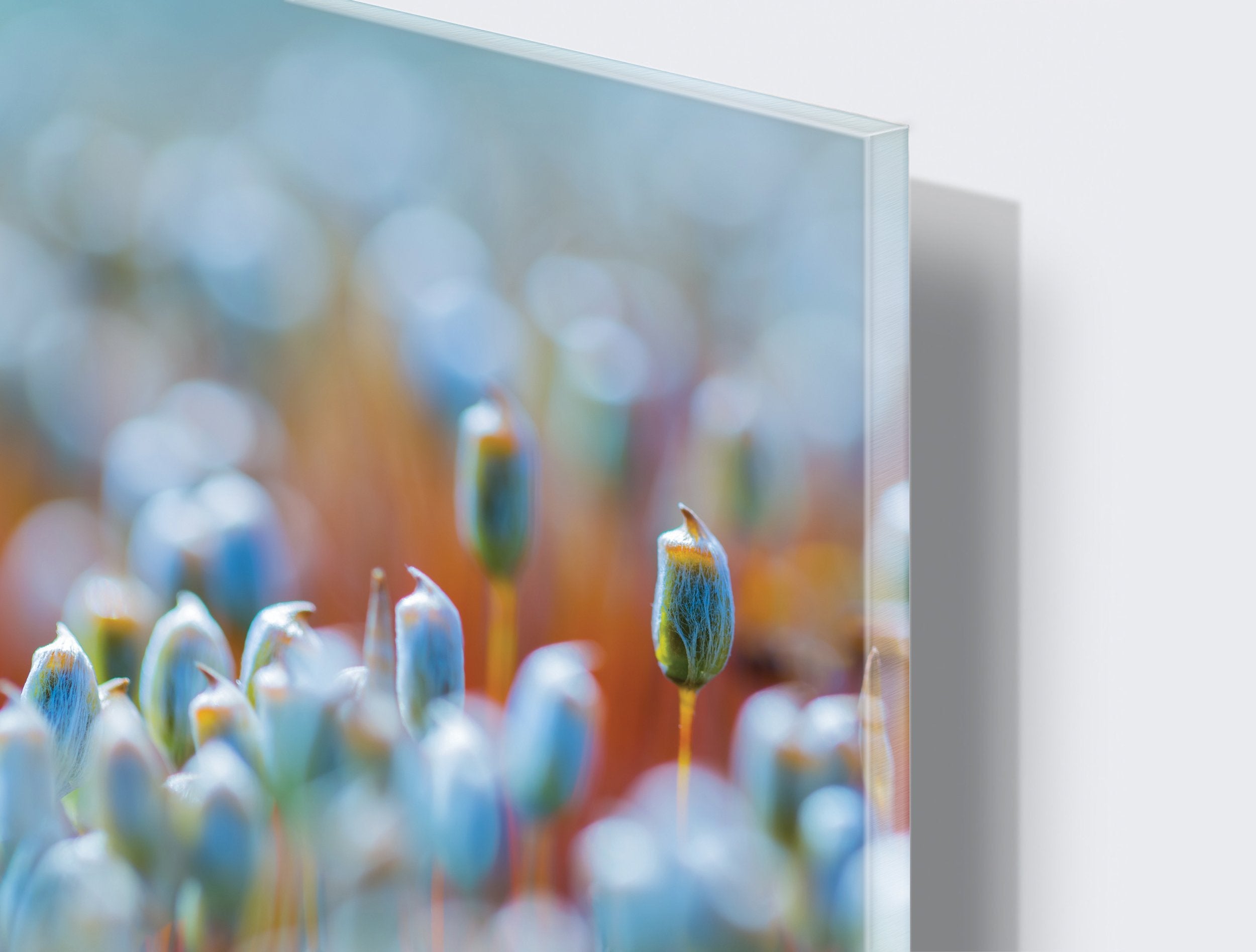 Kunst wand bilder Feld - AP044 - life-decor.de