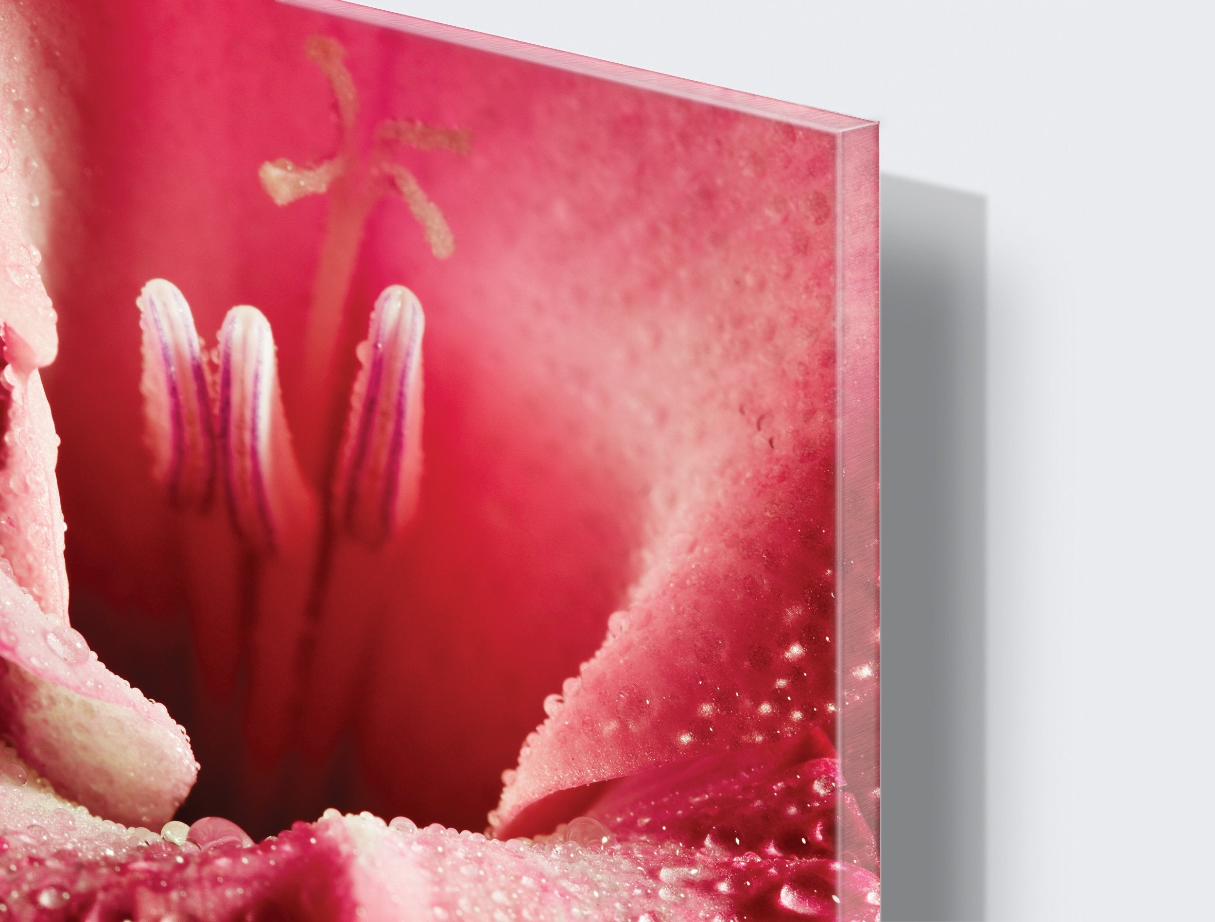 Kunst wand bilder Blume - AP042