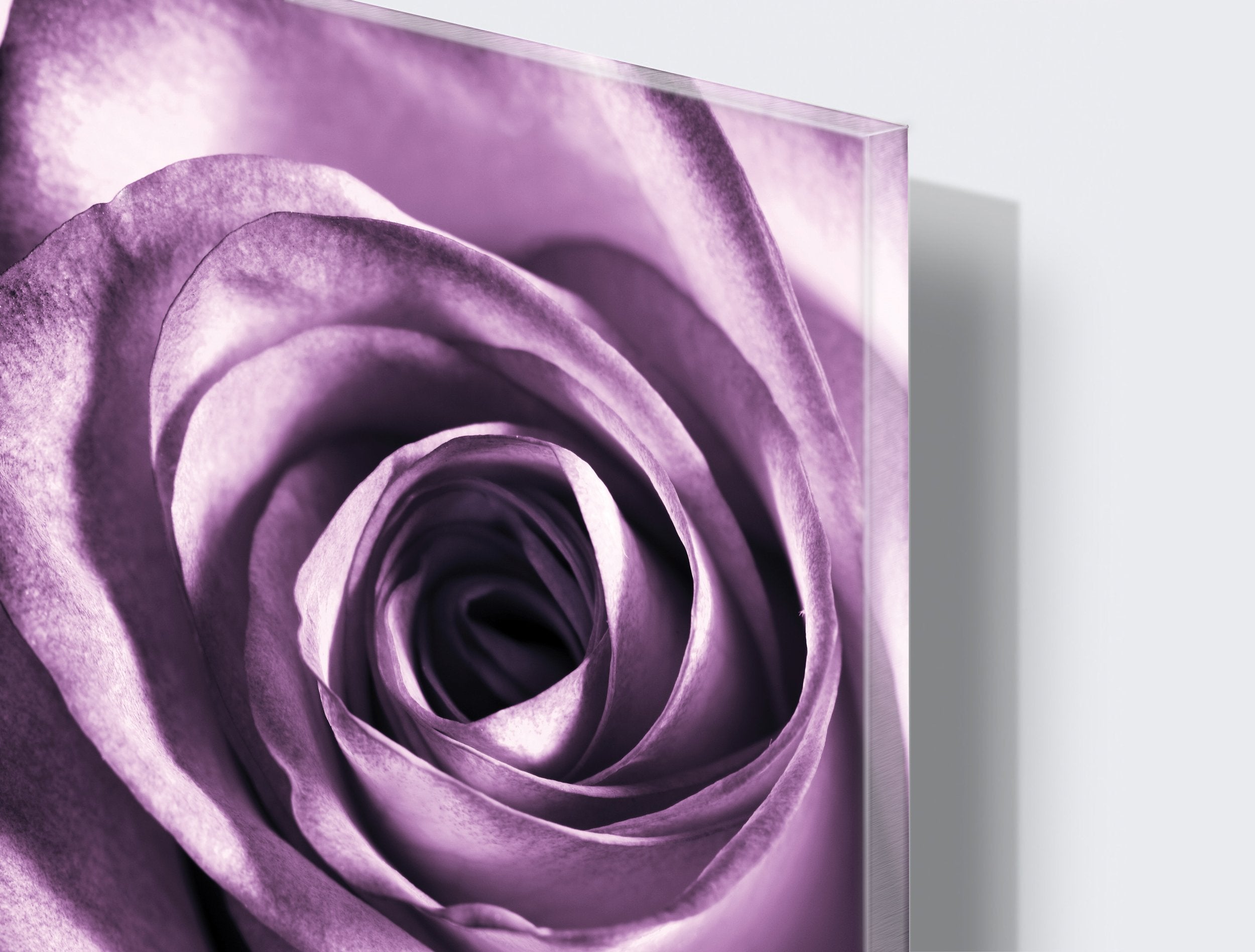 Kunst wand bilder rose - AP079 - life-decor.de