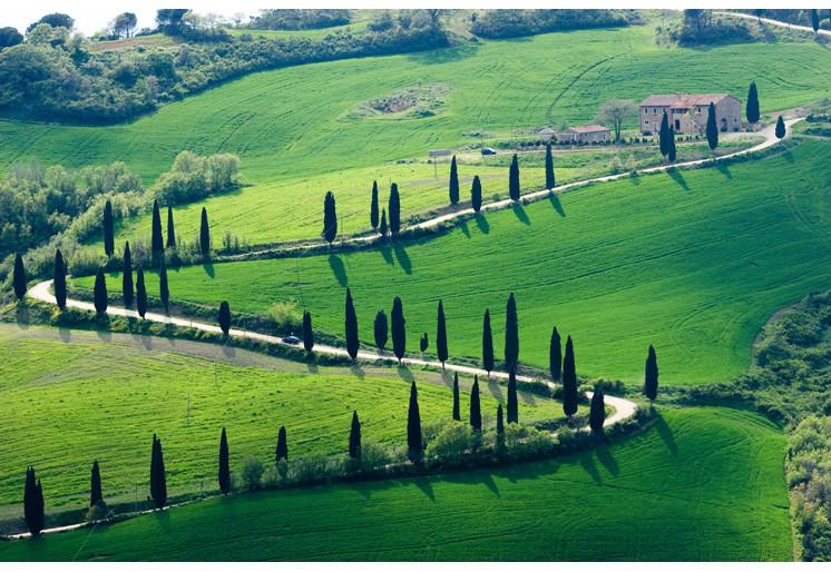 PVC Fototapete Tuscany - ECO Wandbild Selbstklebende Tapete - 3D Vinyl Wandsticker XXL SW374
