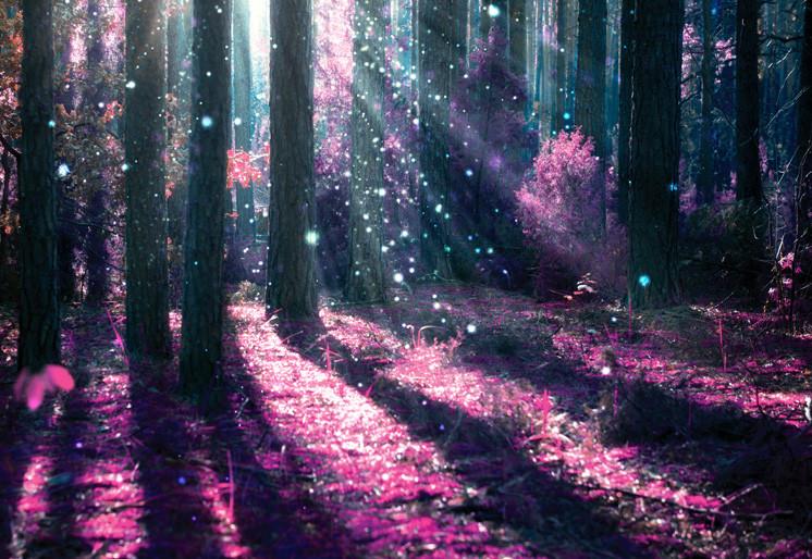 PVC Fototapete Fantasy Landscape – ECO Wandbild Selbstklebende Tapete – 3D Vinyl Wandsticker XXL SW376 - life-decor.de