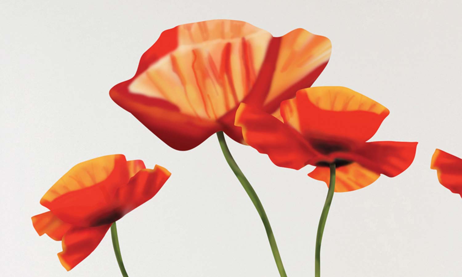 Wandaufkleber Mohnblume- WS009 - life-decor.de