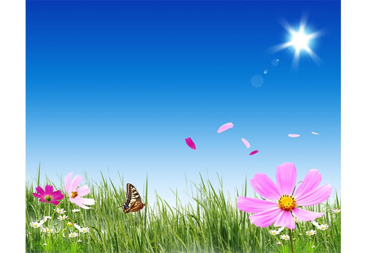 PVC Fototapete Green Grass And Flowers - ECO Wandbild Selbstklebende Tapete - 3D Vinyl Wandsticker XXL SW248