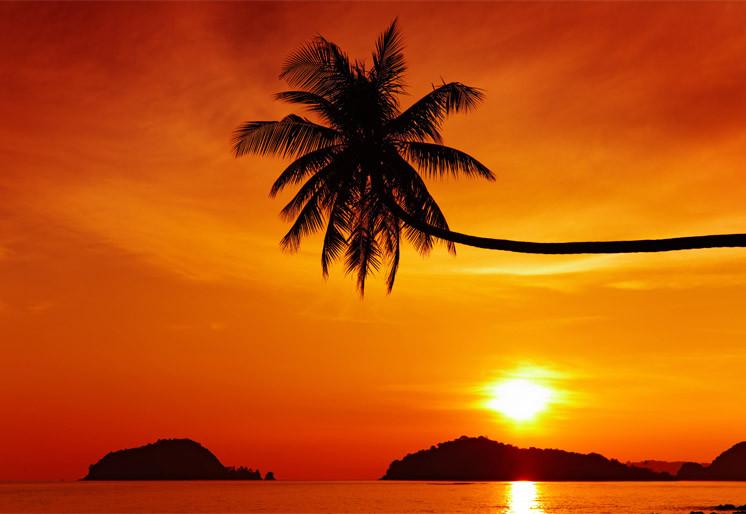 PVC Fototapete Tropical Beach At Sunset - ECO Wandbild Selbstklebende Tapete - 3D Vinyl Wandsticker XXL SW209