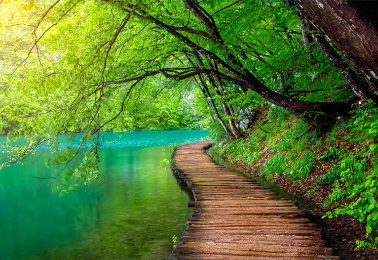 PVC Fototapete Deep Forest Stream - ECO Wandbild Selbstklebende Tapete - 3D Vinyl Wandsticker XXL SW236