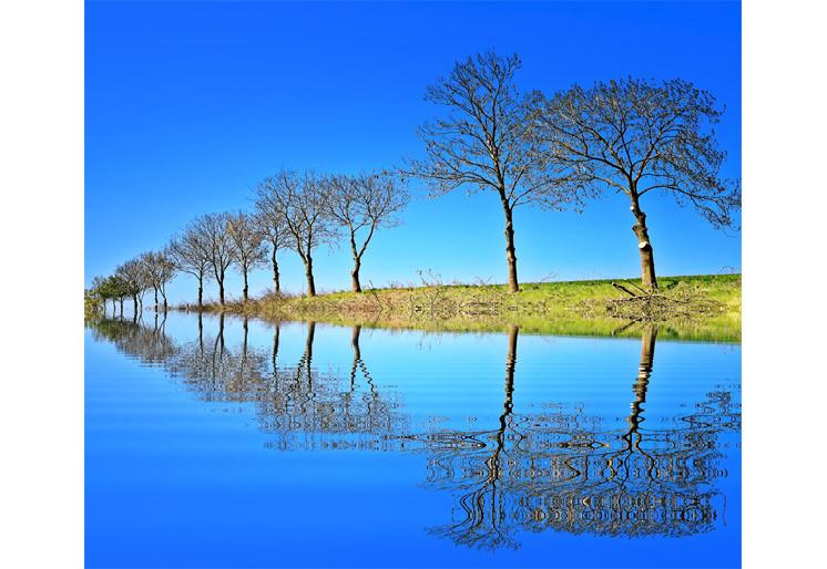 PVC Fototapete Nature - ECO Wandbild Selbstklebende Tapete - 3D Vinyl Wandsticker XXL SW246