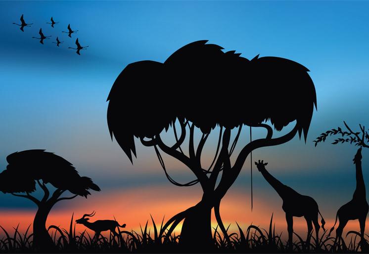 PVC Fototapete African Savanna – ECO Wandbild Selbstklebende Tapete – 3D Vinyl Wandsticker XXL SW319 - life-decor.de