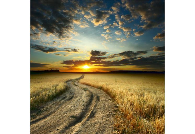 PVC Fototapete Road – ECO Wandbild Selbstklebende Tapete – 3D Vinyl Wandsticker XXL SW245 - life-decor.de