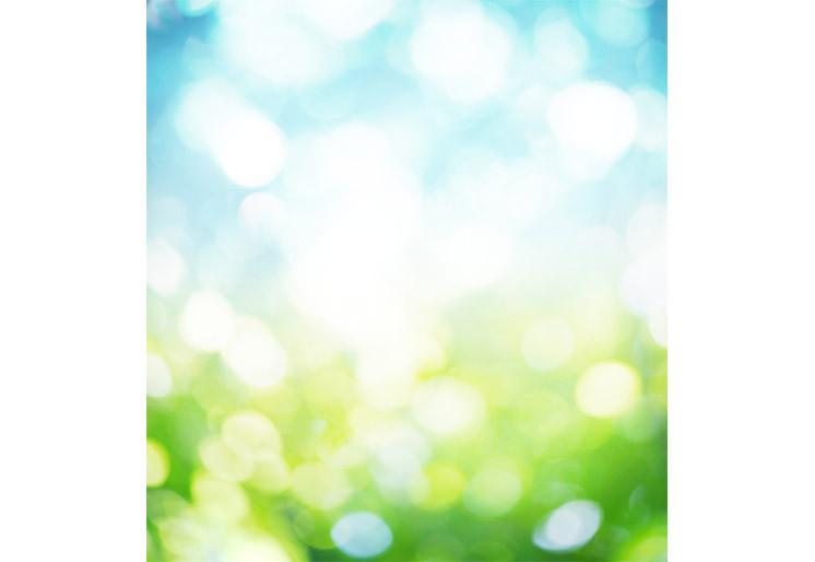 PVC Fototapete Nature Blur – ECO Wandbild Selbstklebende Tapete – 3D Vinyl Wandsticker XXL SW242 - life-decor.de