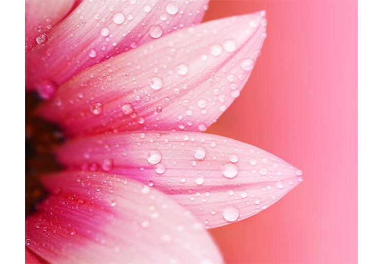 PVC Fototapete Abstract Flower – ECO Wandbild Selbstklebende Tapete – 3D Vinyl Wandsticker XXL SW264 - life-decor.de