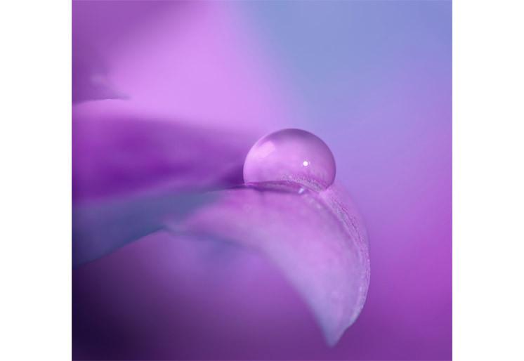 PVC Fototapete Macro Drop II - ECO Wandbild Selbstklebende Tapete - 3D Vinyl Wandsticker XXL SW267