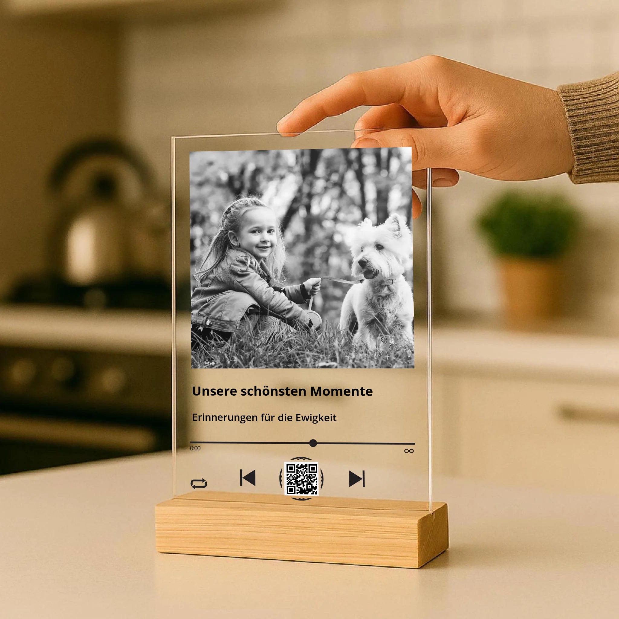 glazbena-plaketa-przna-4