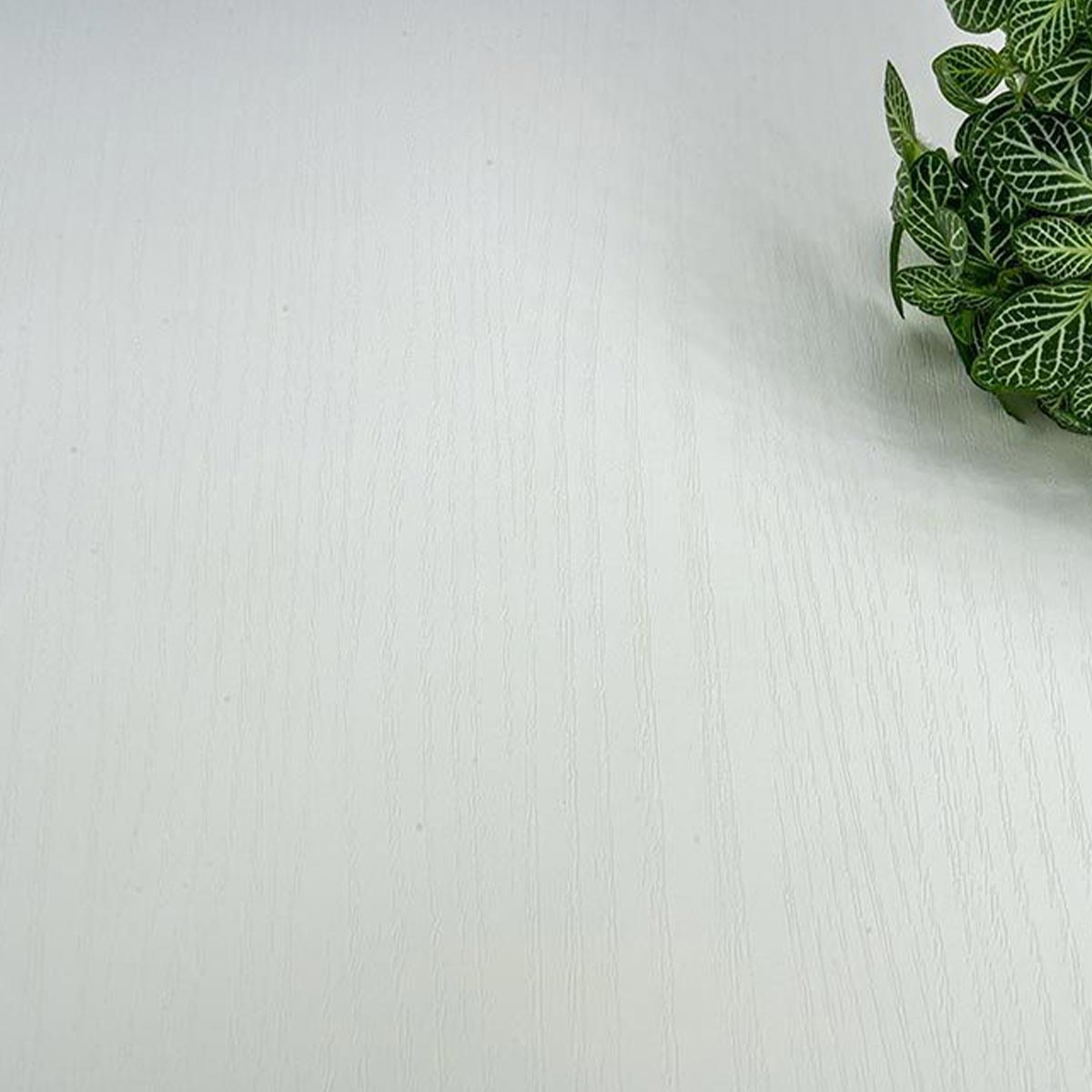 Premium Folie Off White – elegante Holzoptik in Weiss (J17)