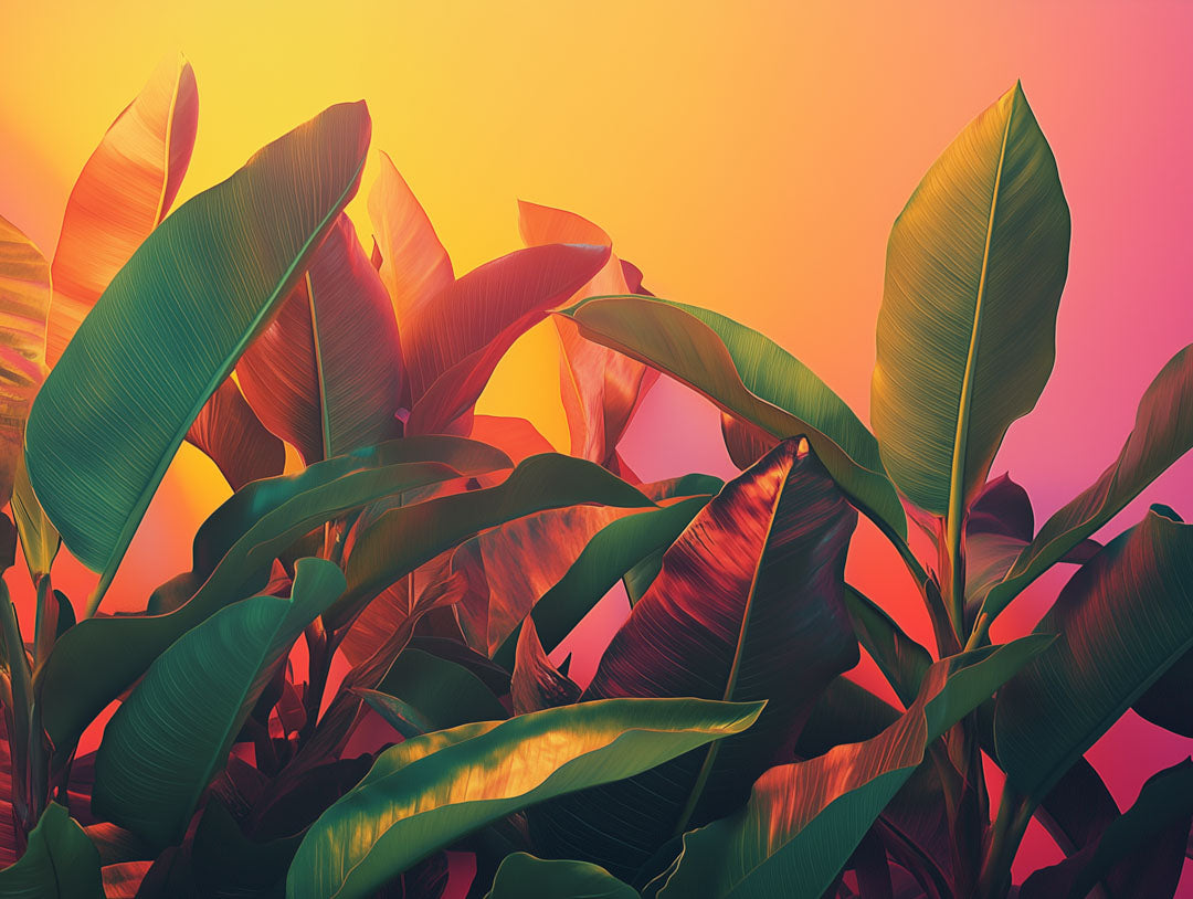 Fototapete Blätter für elegante Räume - Perfekte Wanddekoration