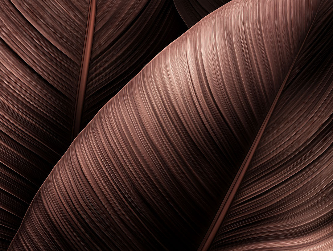 Blätter Tapeten für natürliche Atmosphäre - Eleganz & Stil