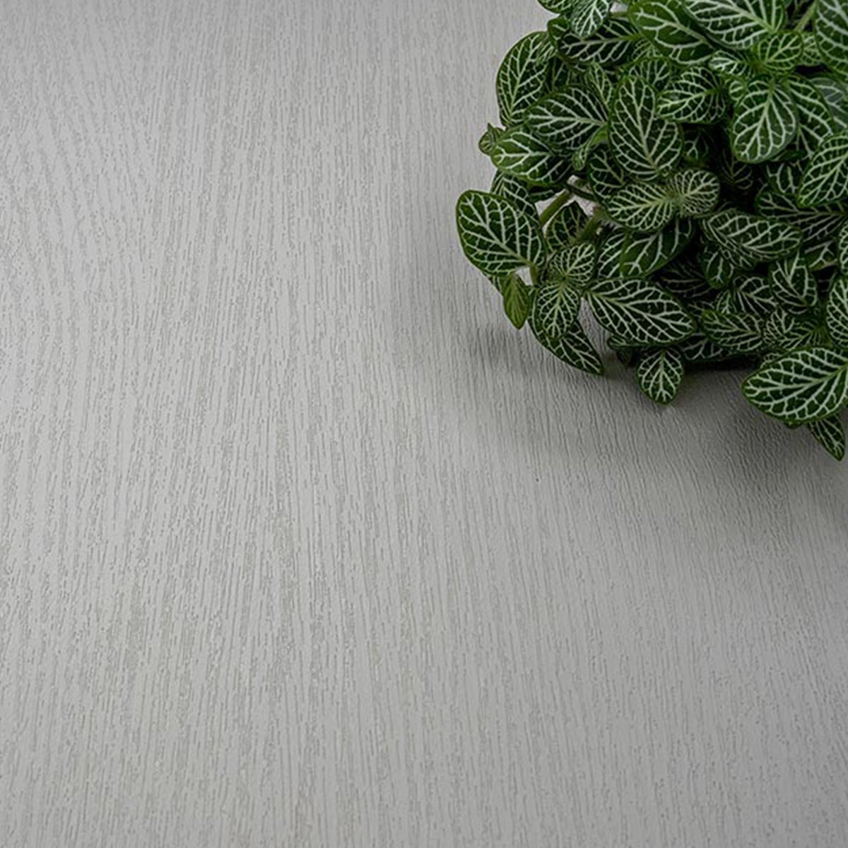 Premium Folie NF19 Crispy Light Grey – luxuriöse Holzoptik in Hellgrau