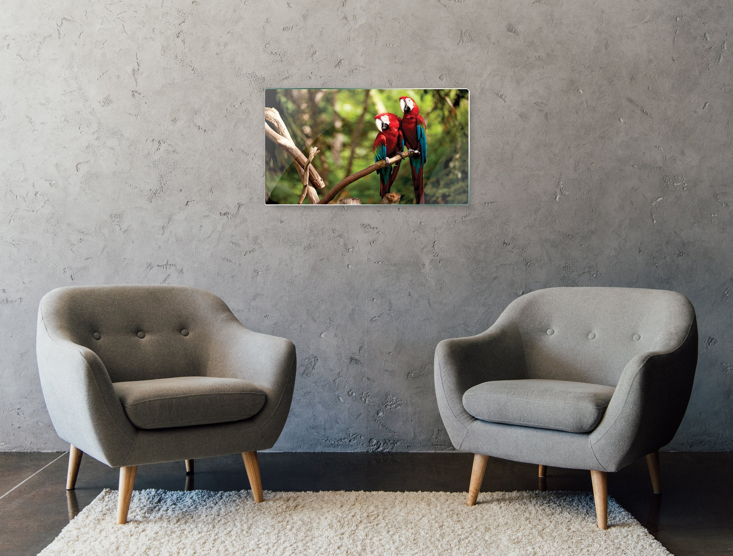 Kunst wand bilder Papageien - AP082 - life-decor.de