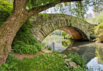 PVC Fototapete Bridge In Central Park – ECO Wandbild Selbstklebende Tapete – 3D Vinyl Wandsticker XXL  SW411 - life-decor.de