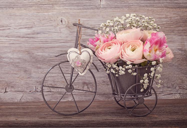 PVC Fototapete Ranunculus Flower – ECO Wandbild Selbstklebende Tapete – 3D Vinyl Wandsticker XXL  SW414 - life-decor.de