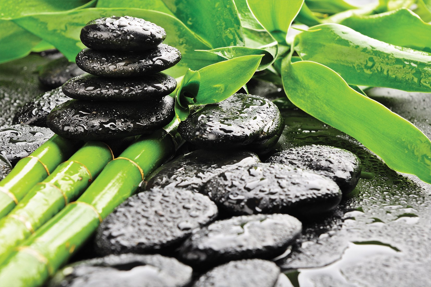 Kunst wand bilder Bambus - AP029 - life-decor.de