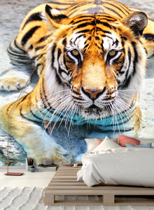 PVC Fototapete Bengal Tiger – ECO Wandbild Selbstklebende Tapete – 3D Vinyl Wandsticker XXL  SW021 - life-decor.de