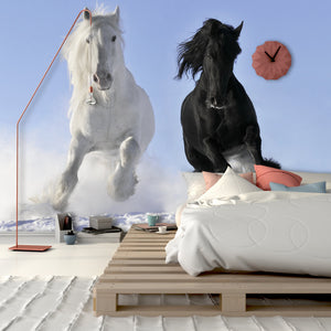 PVC Fototapete White and Black Horse – ECO Wandbild Selbstklebende Tapete – 3D Vinyl Wandsticker XXL  SW043 - life-decor.de