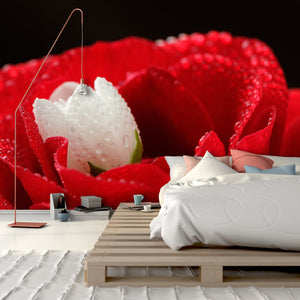 PVC Fototapete Red Rose – ECO Wandbild Selbstklebende Tapete – 3D Vinyl Wandsticker XXL  SW089 - life-decor.de