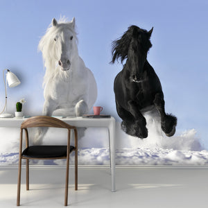PVC Fototapete White and Black Horse – ECO Wandbild Selbstklebende Tapete – 3D Vinyl Wandsticker XXL  SW043 - life-decor.de