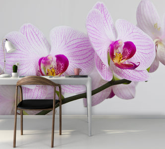 PVC Fototapete Flowers Orchids – ECO Wandbild Selbstklebende Tapete – 3D Vinyl Wandsticker XXL  SW092 - life-decor.de