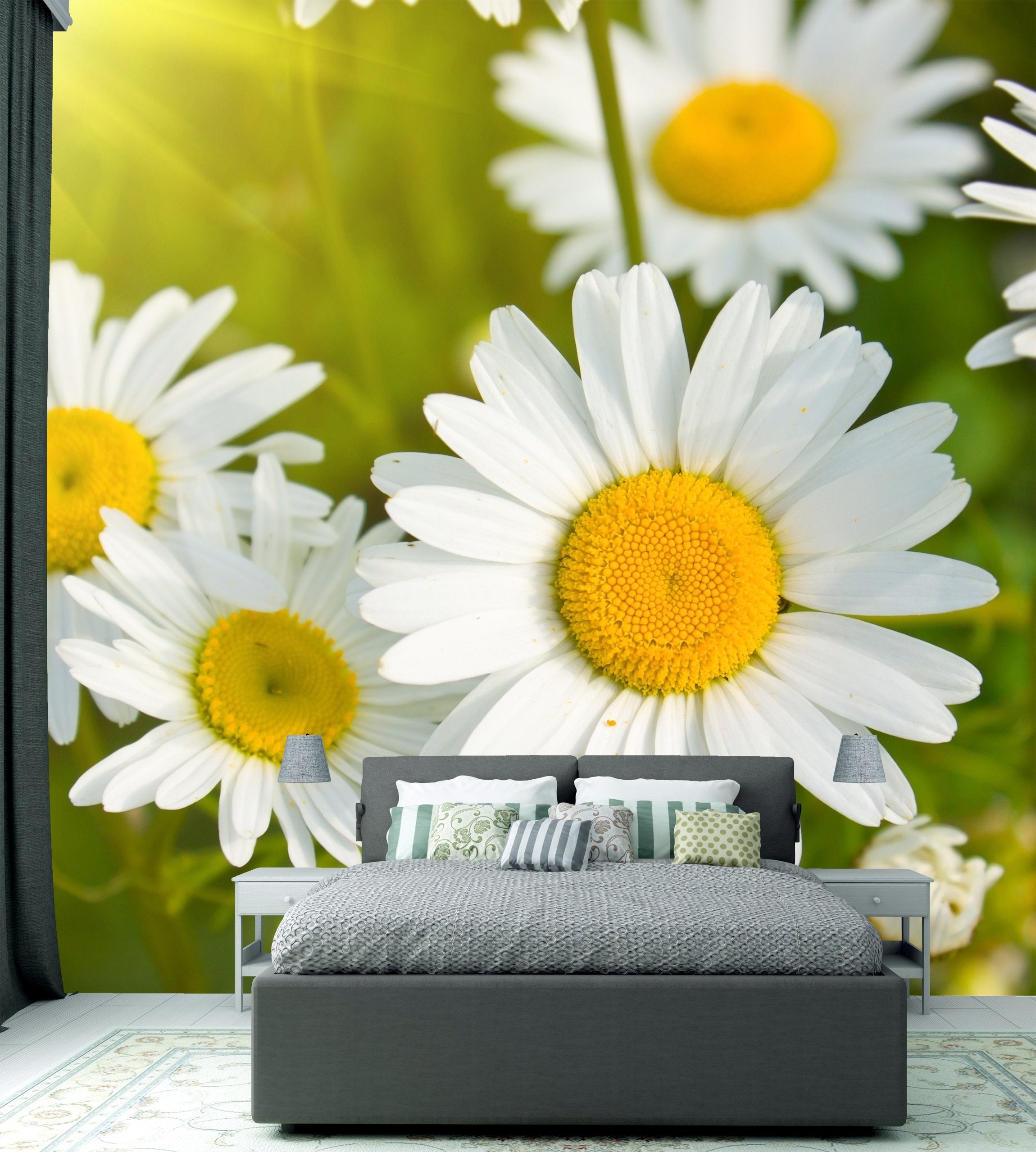 PVC Fototapete Daisies In A Field – ECO Wandbild Selbstklebende Tapete – 3D Vinyl Wandsticker XXL  SW262 - life-decor.de
