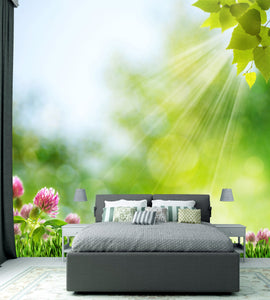 PVC Fototapete Summer Morning – ECO Wandbild Selbstklebende Tapete – 3D Vinyl Wandsticker XXL  SW226 - life-decor.de