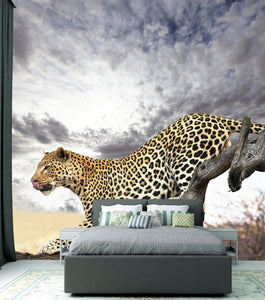 PVC Fototapete Leopard – ECO Wandbild Selbstklebende Tapete – 3D Vinyl Wandsticker XXL  SW077 - life-decor.de