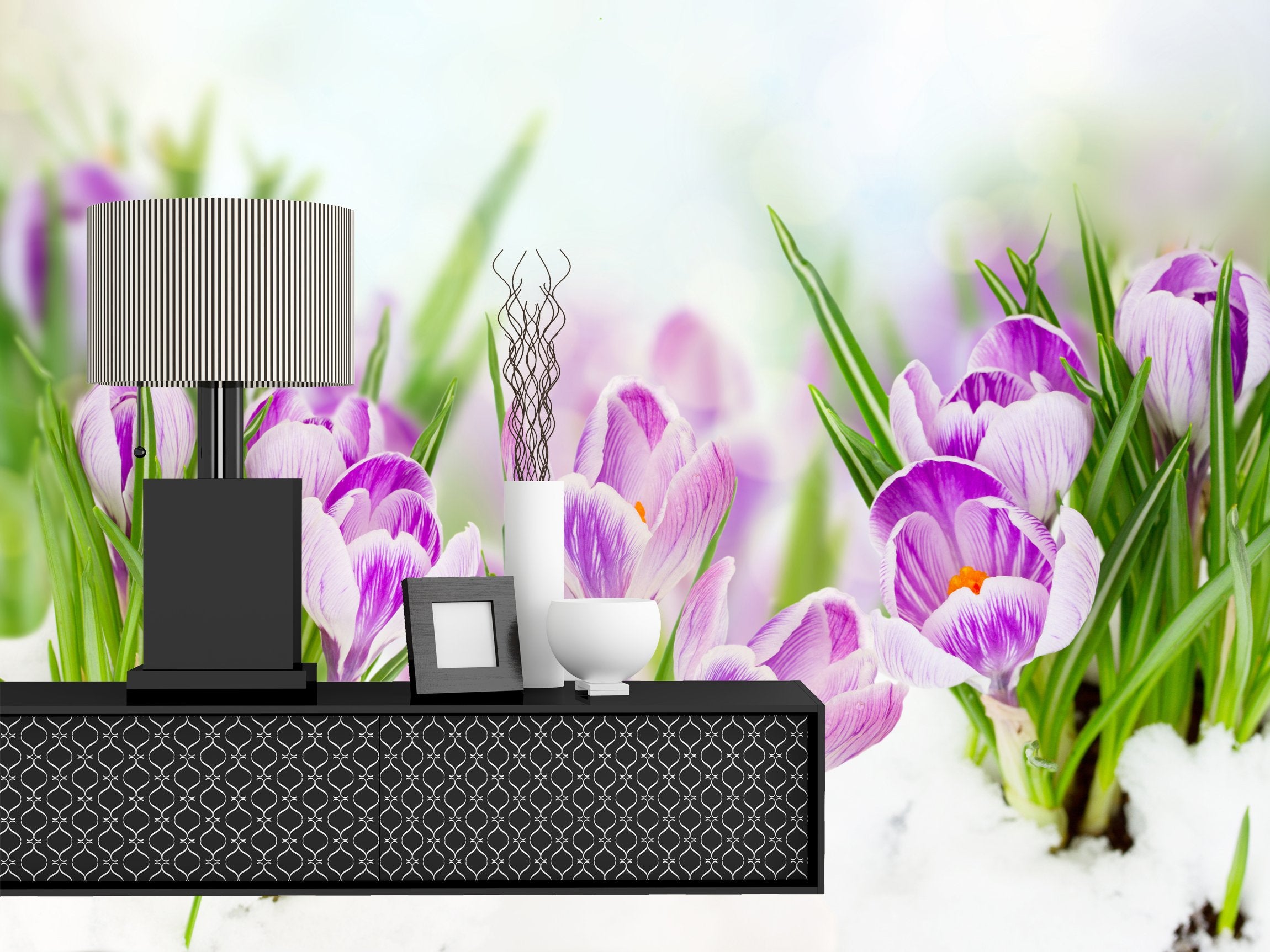 PVC Fototapete Spring Crocuses - ECO Wandbild Selbstklebende Tapete - 3D Vinyl Wandsticker XXL  SW075