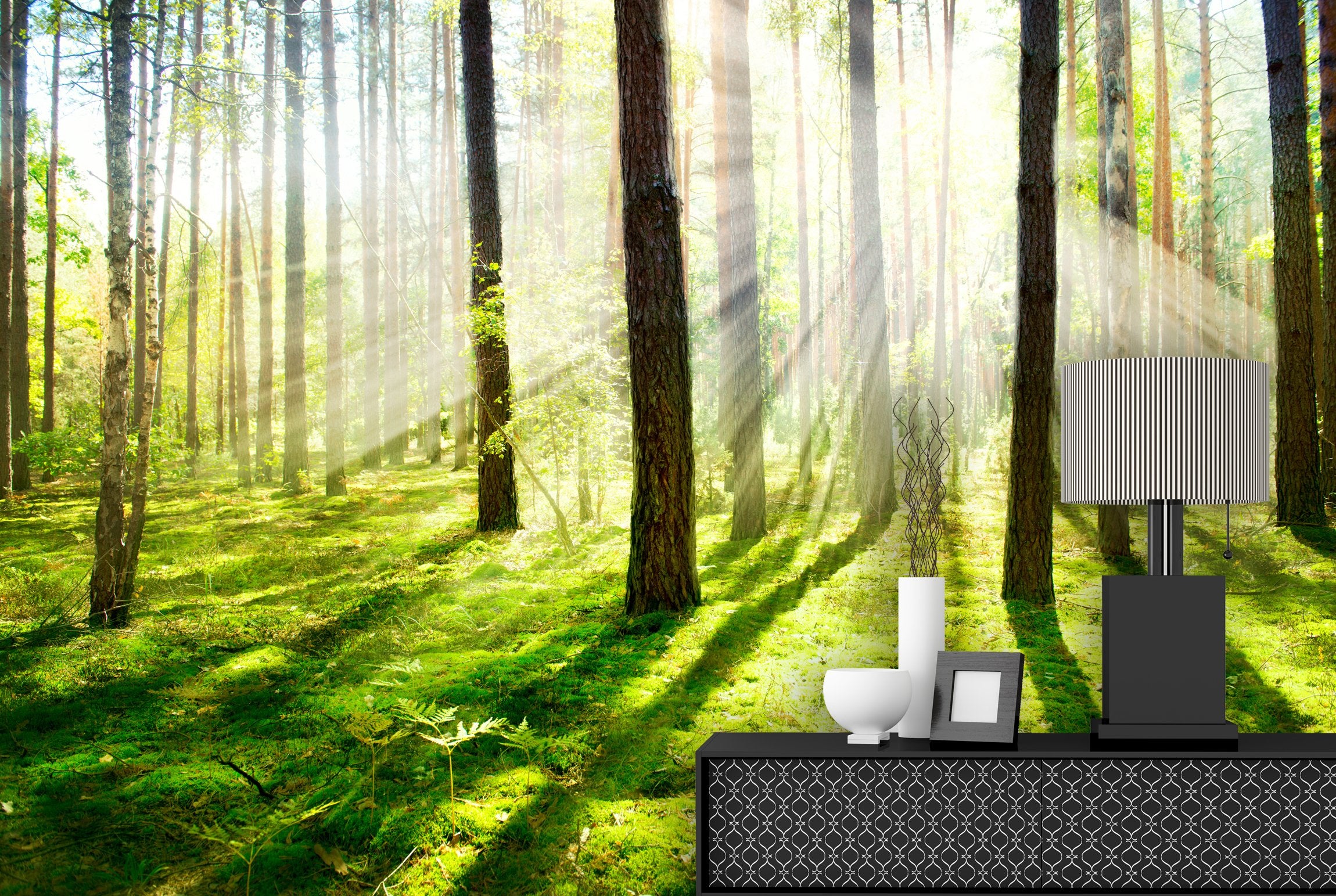 PVC Fototapete Misty and Foggy Forest - ECO Wandbild Selbstklebende Tapete - 3D Vinyl Wandsticker XXL  SW087